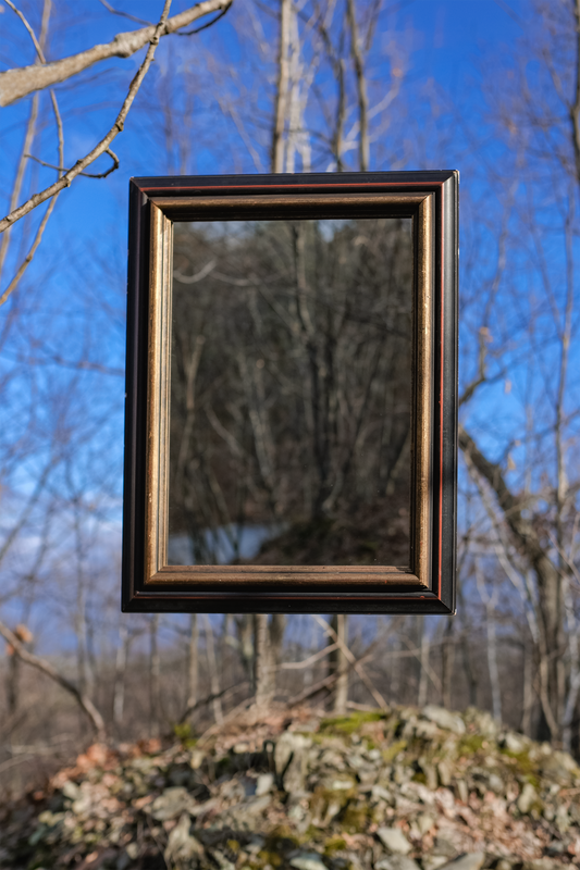 Mirror in Vintage Painted Wood Frame